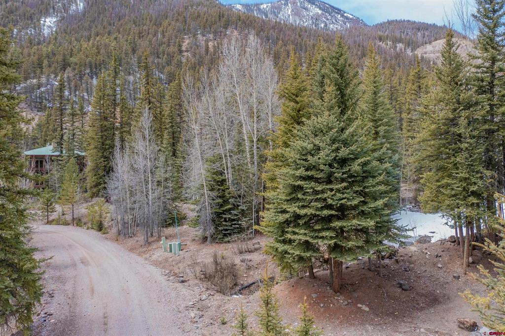 2743 Silver Coin Lane Lake City CO 81235