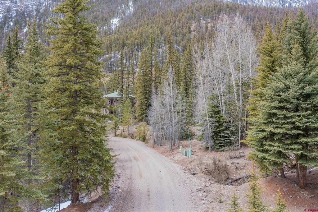 2743 Silver Coin Lane Lake City CO 81235