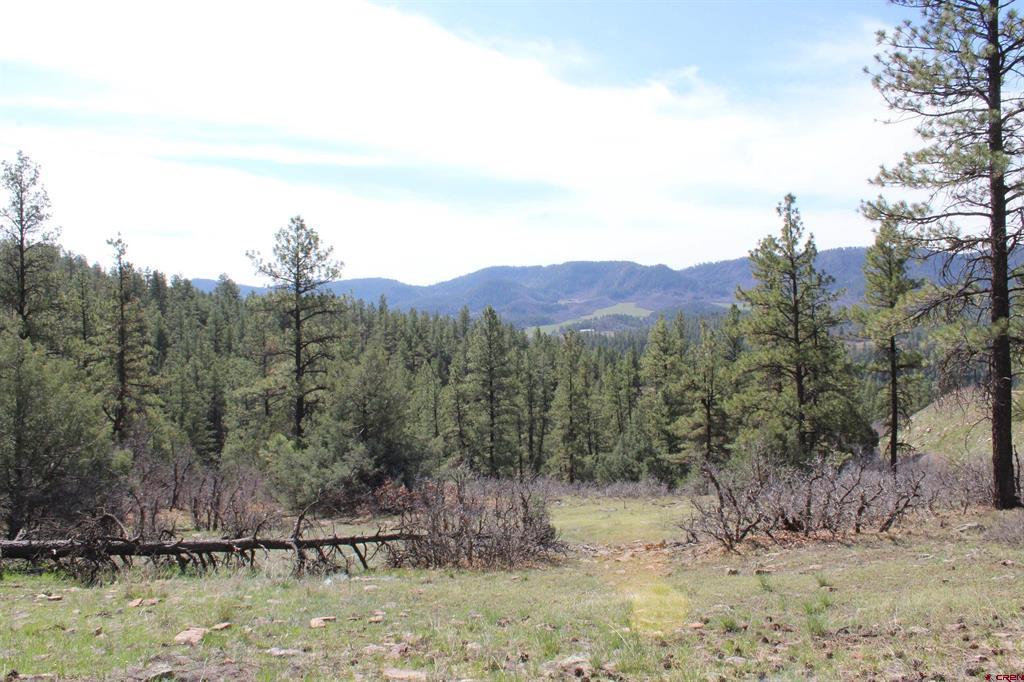 881 Ironwood Drive Pagosa Springs CO 81147