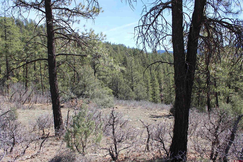 881 Ironwood Drive Pagosa Springs CO 81147