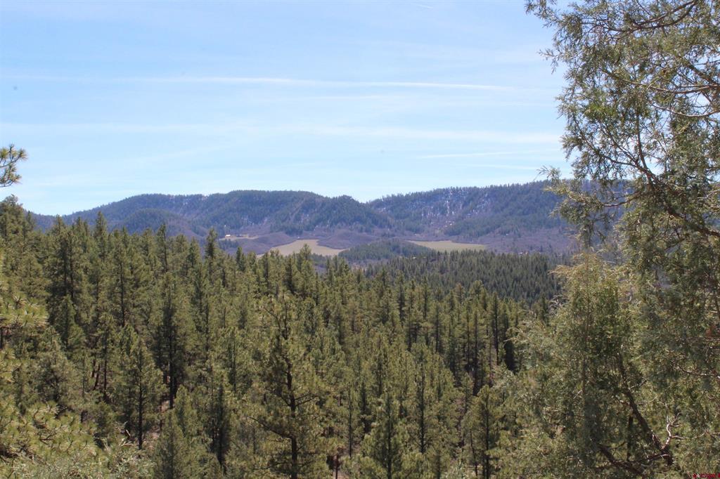 881 Ironwood Drive Pagosa Springs CO 81147