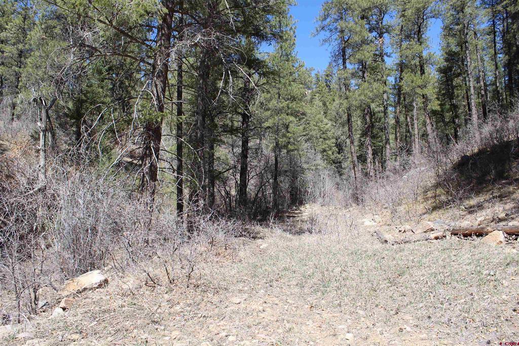 881 Ironwood Drive Pagosa Springs CO 81147