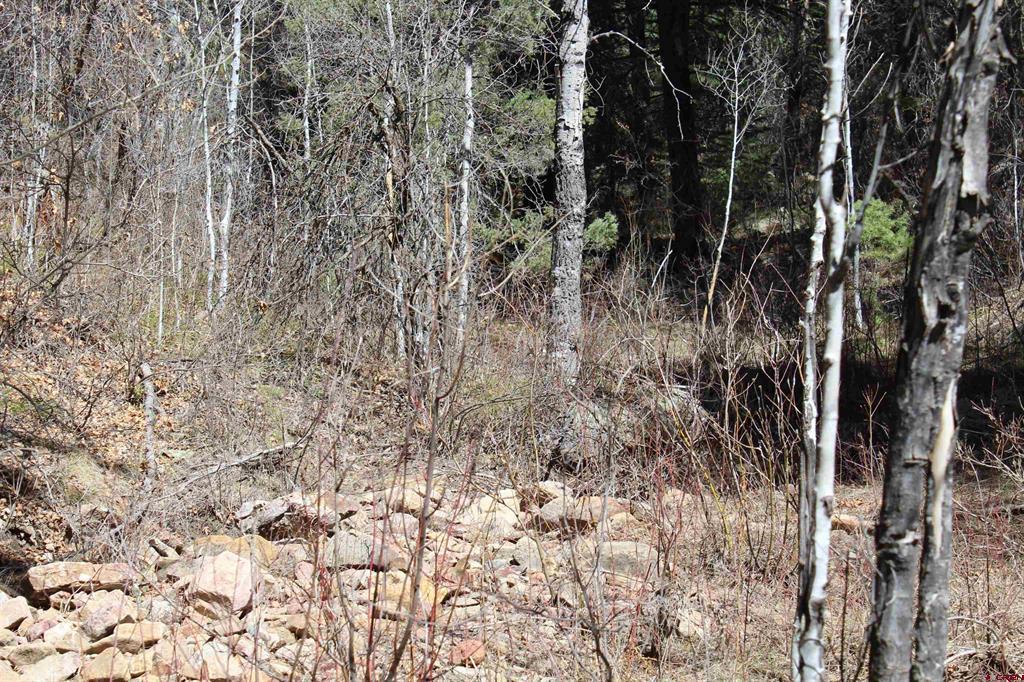 881 Ironwood Drive Pagosa Springs CO 81147