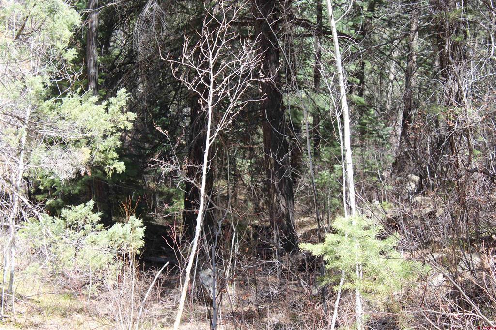 881 Ironwood Drive Pagosa Springs CO 81147