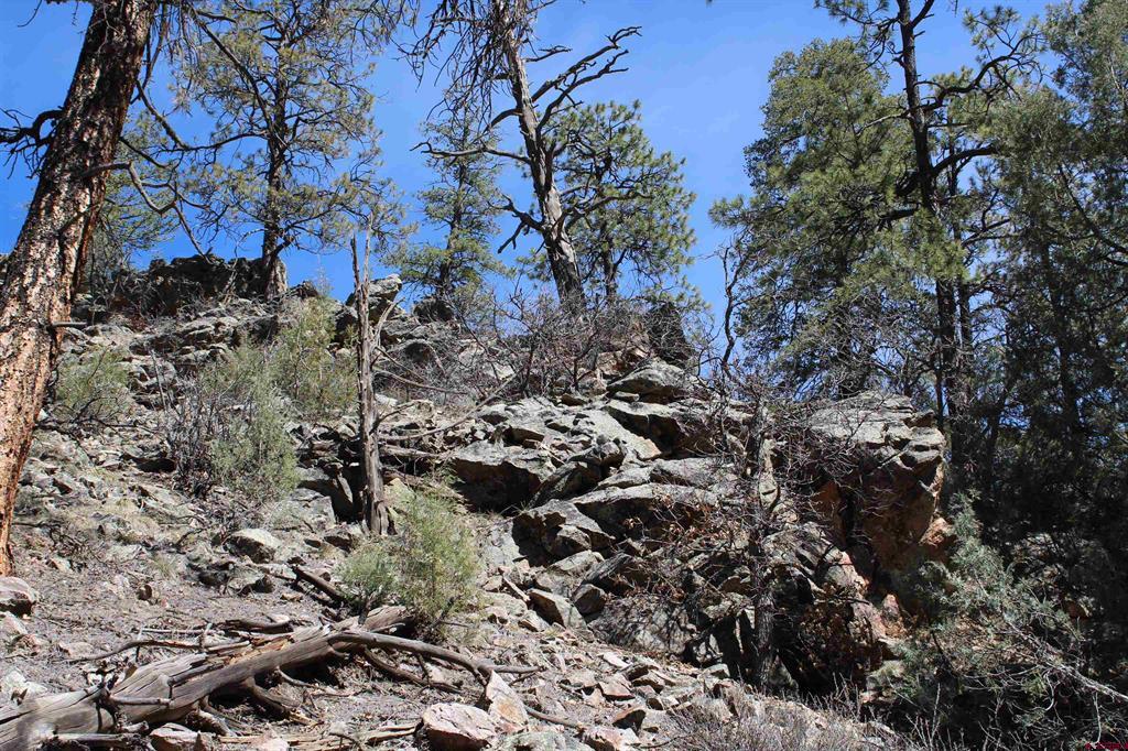881 Ironwood Drive Pagosa Springs CO 81147