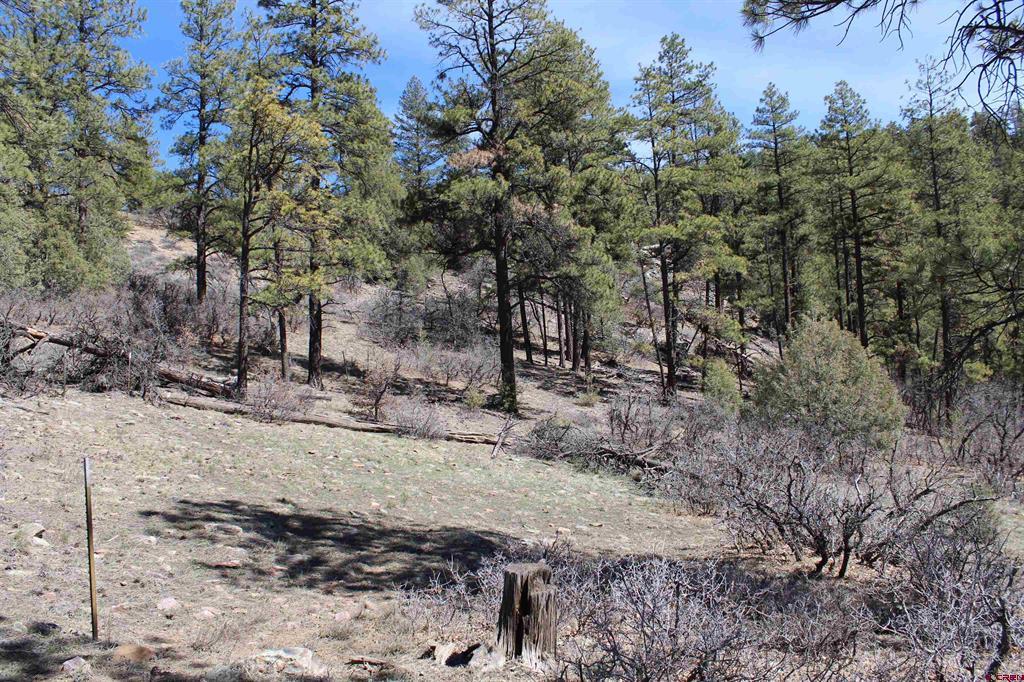 881 Ironwood Drive Pagosa Springs CO 81147