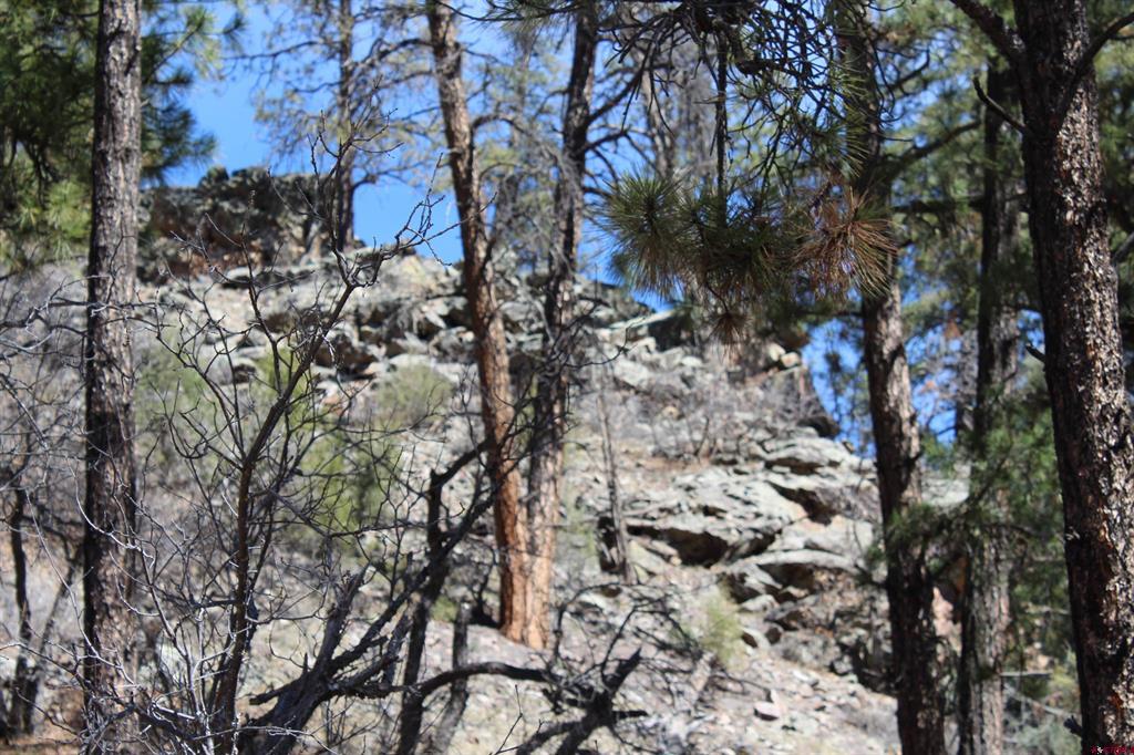 881 Ironwood Drive Pagosa Springs CO 81147