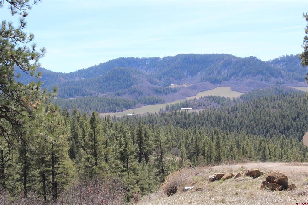 881 Ironwood Drive Pagosa Springs CO 81147