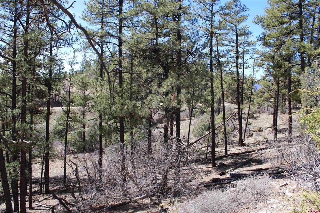 881 Ironwood Drive Pagosa Springs CO 81147