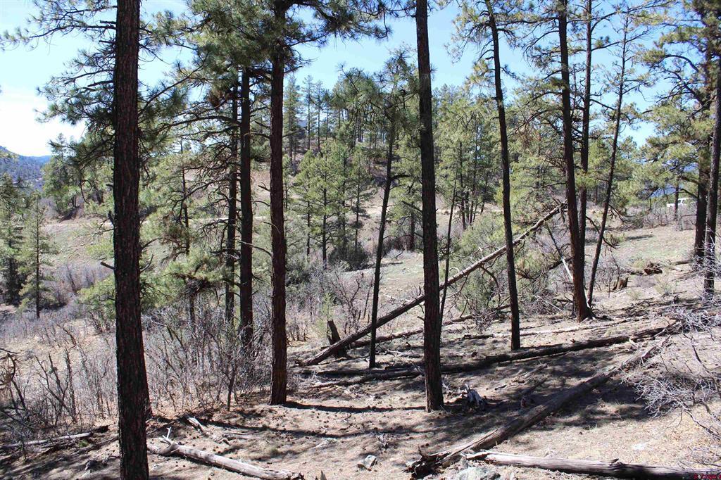 881 Ironwood Drive Pagosa Springs CO 81147