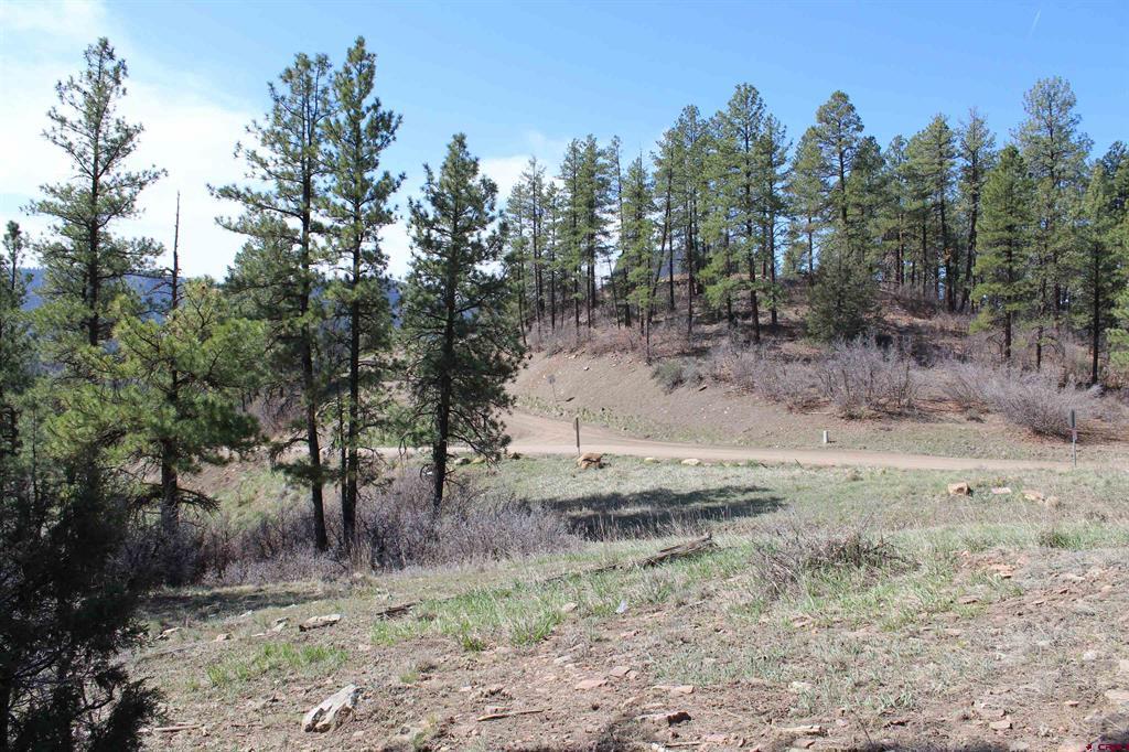 881 Ironwood Drive Pagosa Springs CO 81147