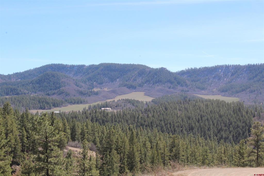 881 Ironwood Drive Pagosa Springs CO 81147