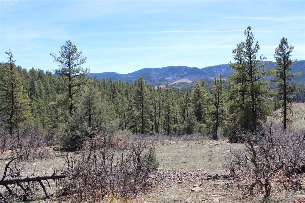 881 Ironwood Drive Pagosa Springs CO 81147