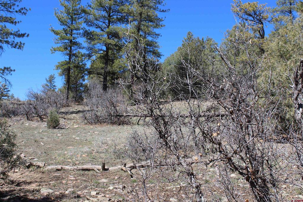 881 Ironwood Drive Pagosa Springs CO 81147