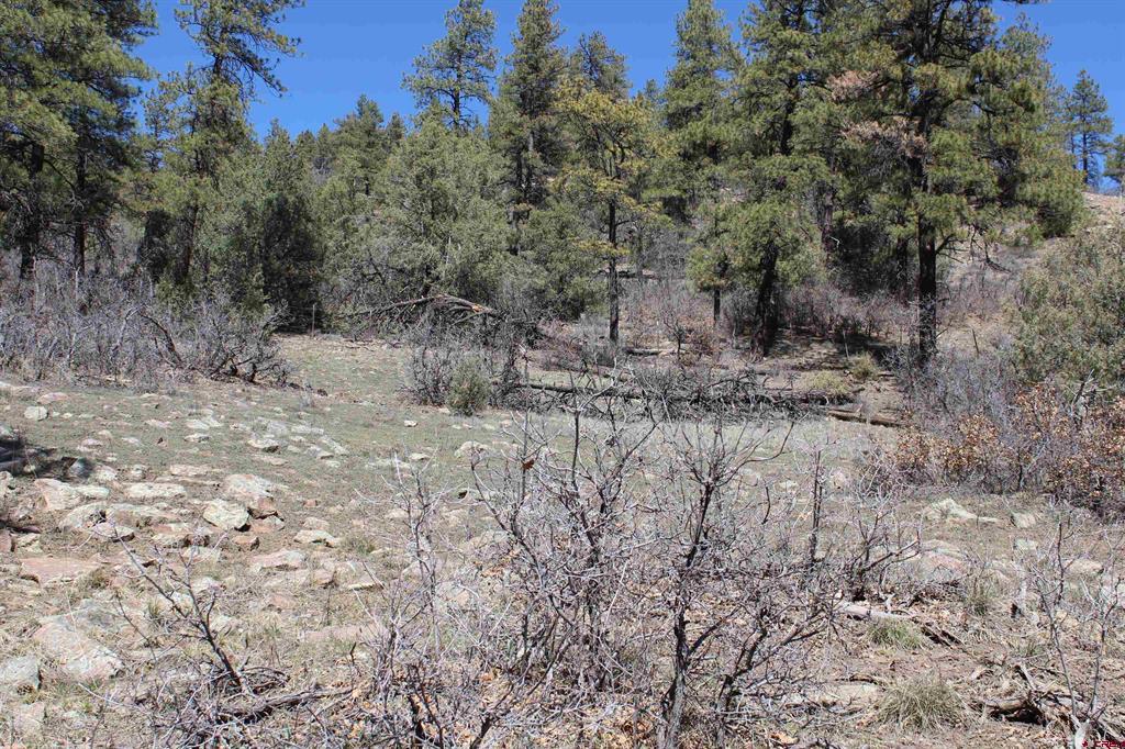 881 Ironwood Drive Pagosa Springs CO 81147
