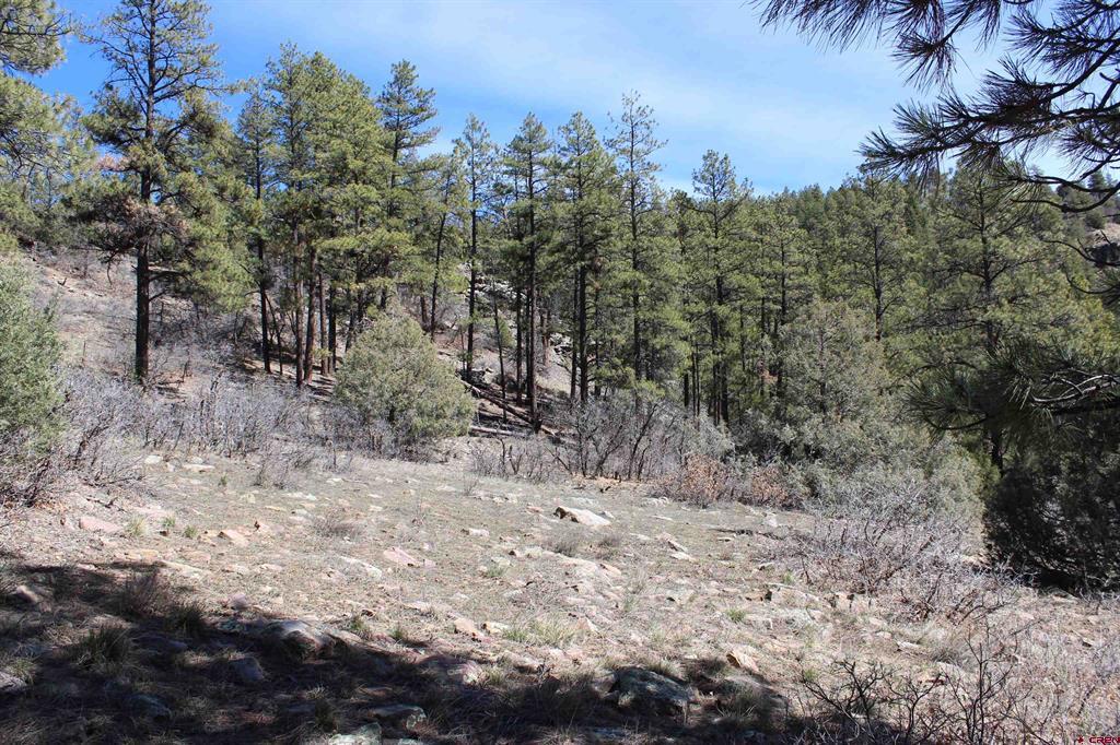 881 Ironwood Drive Pagosa Springs CO 81147