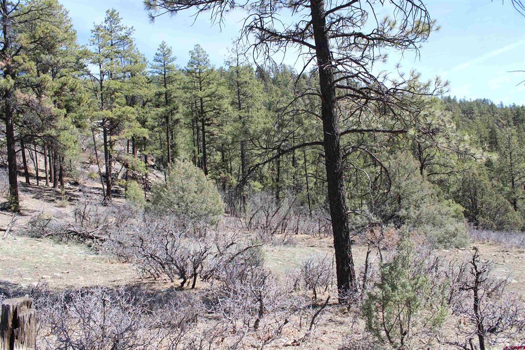 881 Ironwood Drive Pagosa Springs CO 81147