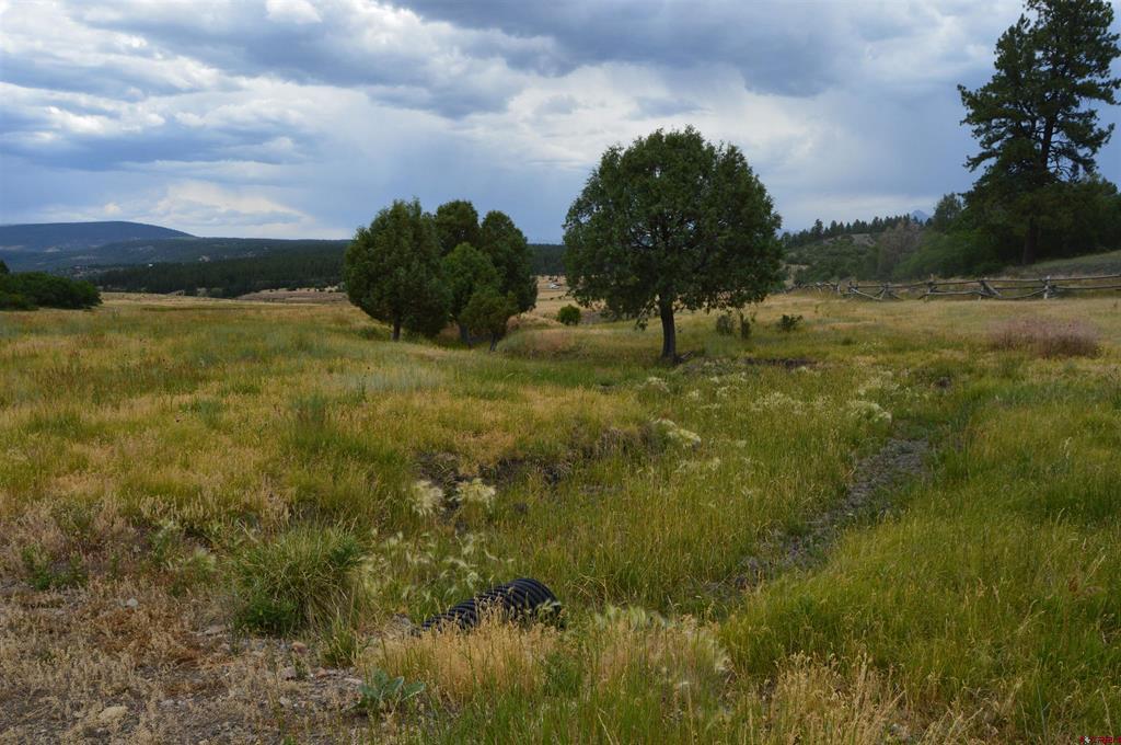 73 Parelli Institute Drive Pagosa Springs CO 81147
