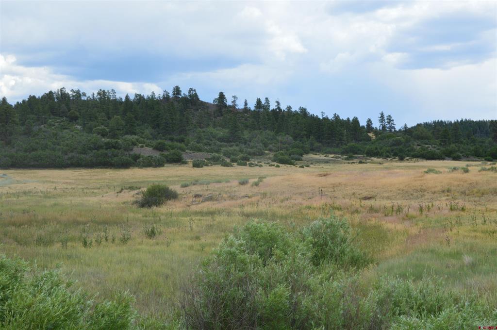 73 Parelli Institute Drive Pagosa Springs CO 81147