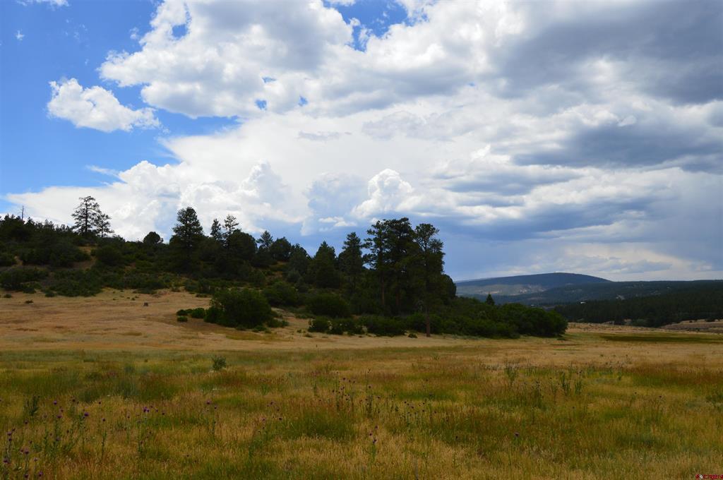 73 Parelli Institute Drive Pagosa Springs CO 81147