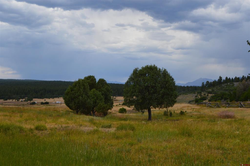 73 Parelli Institute Drive Pagosa Springs CO 81147