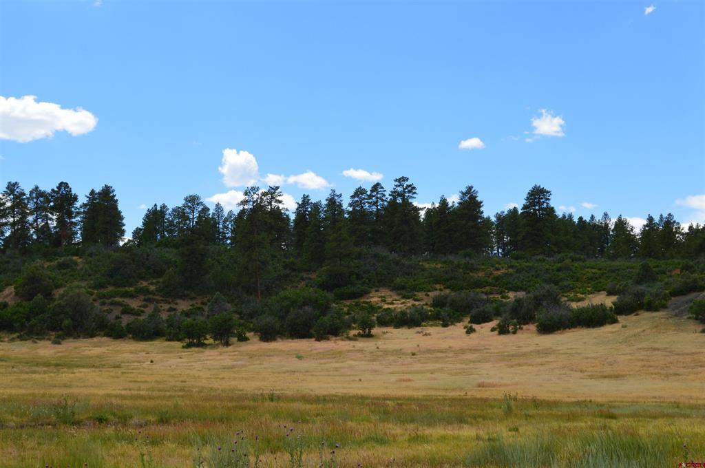 73 Parelli Institute Drive Pagosa Springs CO 81147