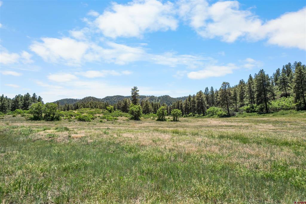 73 Parelli Institute Drive Pagosa Springs CO 81147