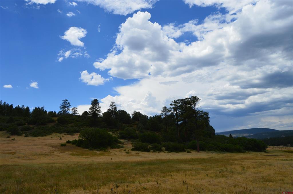 73 Parelli Institute Drive Pagosa Springs CO 81147