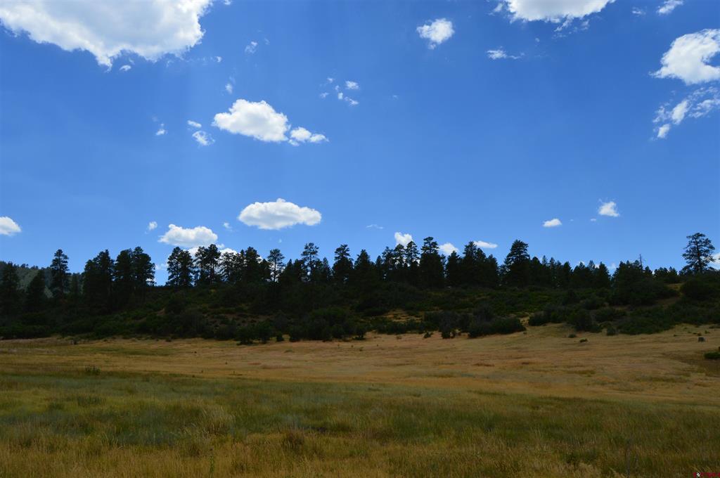73 Parelli Institute Drive Pagosa Springs CO 81147