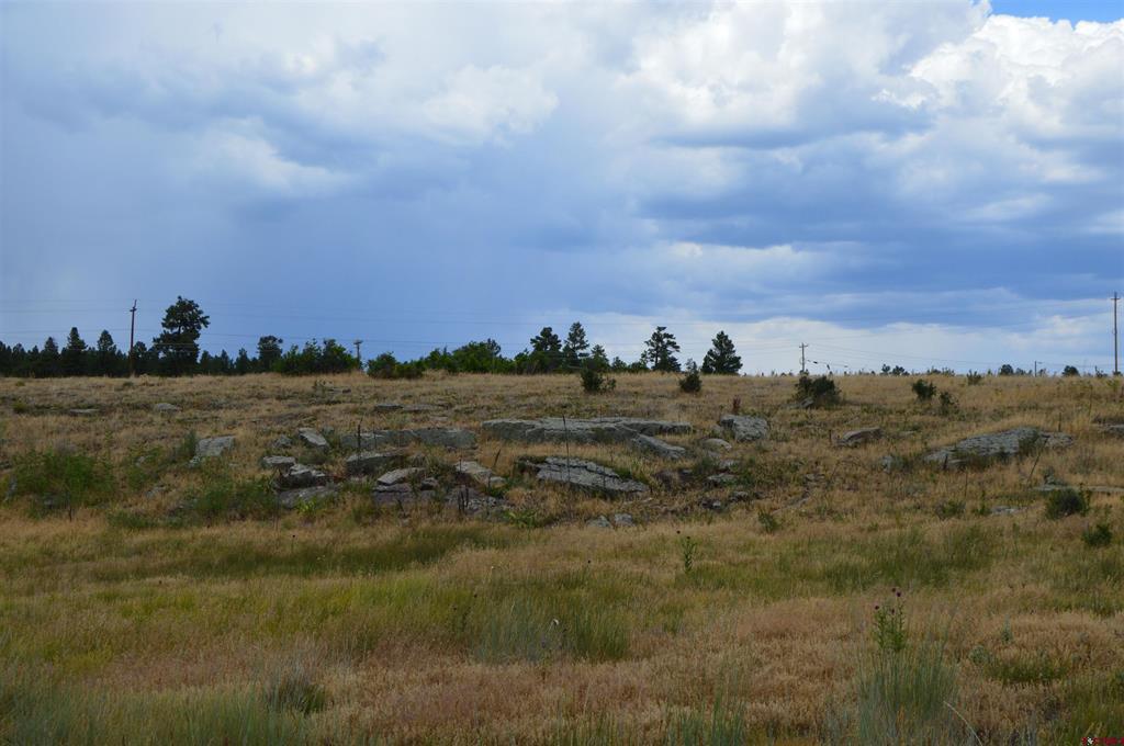73 Parelli Institute Drive Pagosa Springs CO 81147