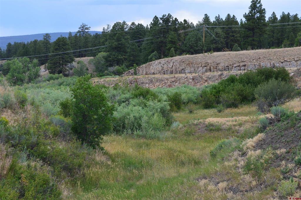 73 Parelli Institute Drive Pagosa Springs CO 81147