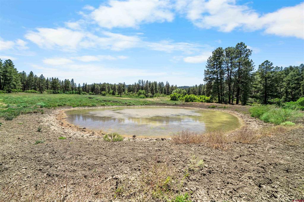 73 Parelli Institute Drive Pagosa Springs CO 81147
