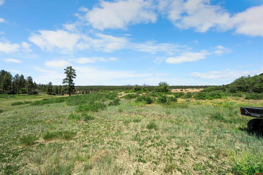 73 Parelli Institute Drive Pagosa Springs CO 81147