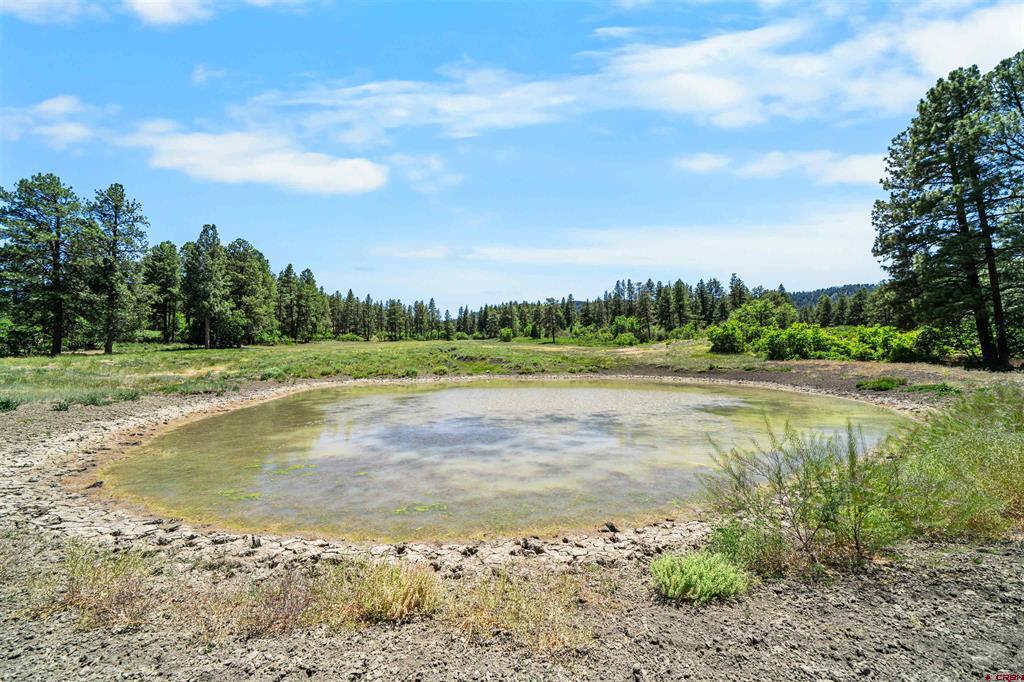 73 Parelli Institute Drive Pagosa Springs CO 81147