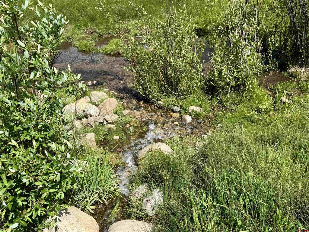 156 Golden Forest Road Vallecito Lake/bayfield CO 81122