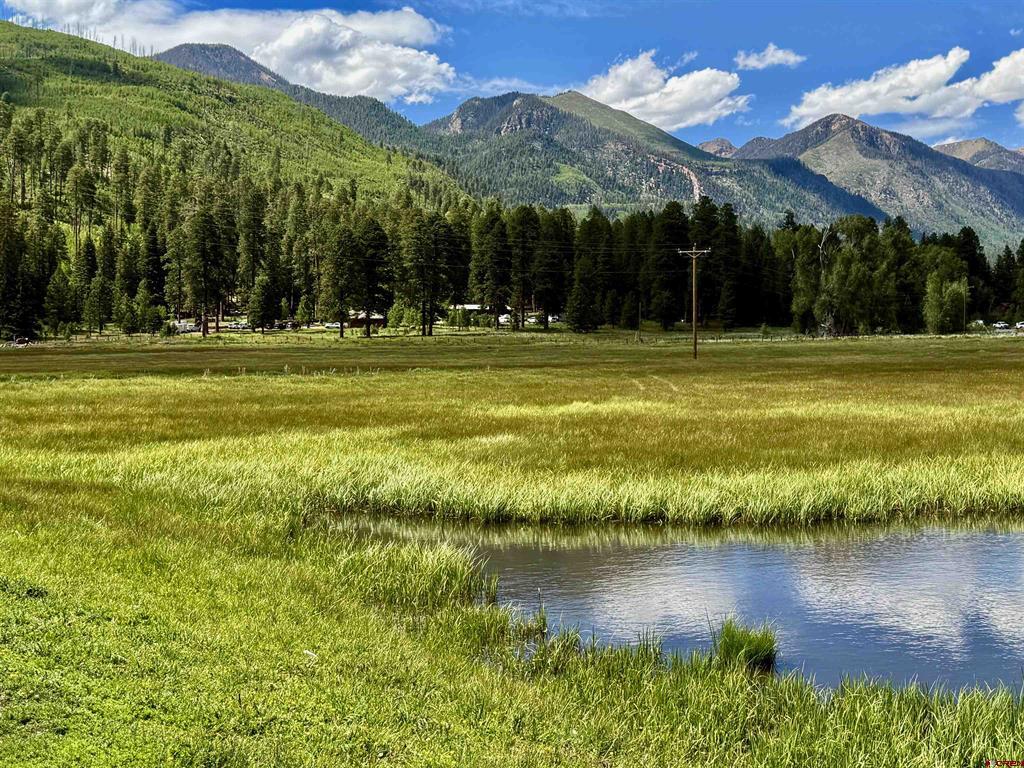 156 Golden Forest Road Vallecito Lake/bayfield CO 81122