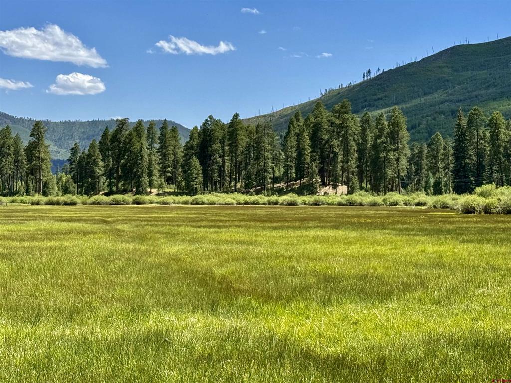 156 Golden Forest Road Vallecito Lake/bayfield CO 81122