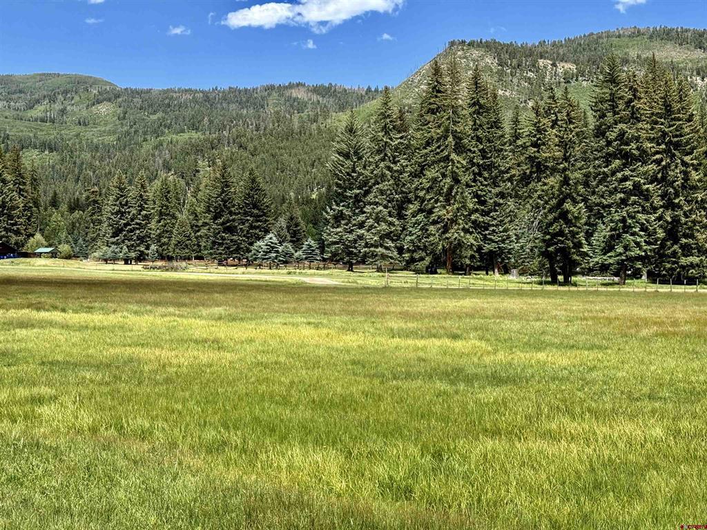 156 Golden Forest Road Vallecito Lake/bayfield CO 81122