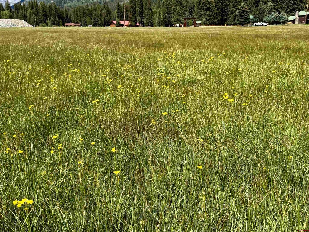 156 Golden Forest Road Vallecito Lake/bayfield CO 81122
