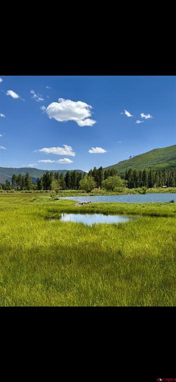 156 Golden Forest Road Vallecito Lake/bayfield CO 81122