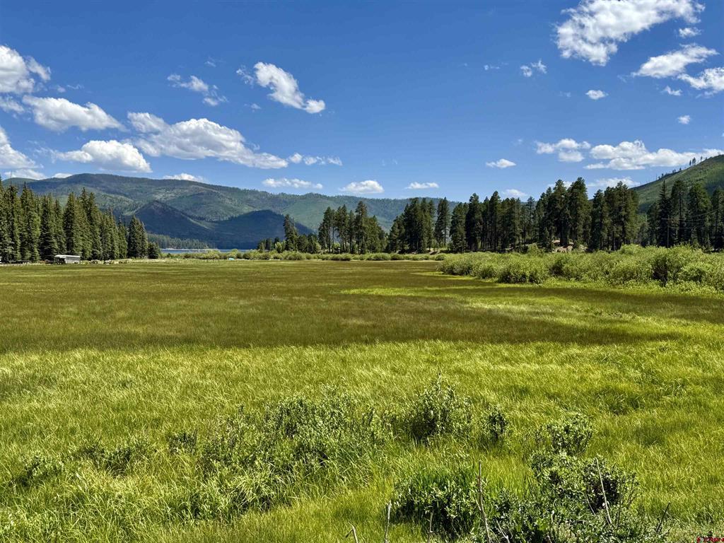 156 Golden Forest Road Vallecito Lake/bayfield CO 81122