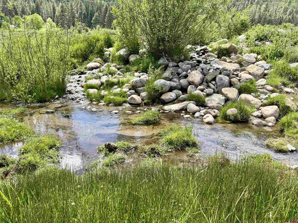156 Golden Forest Road Vallecito Lake/bayfield CO 81122