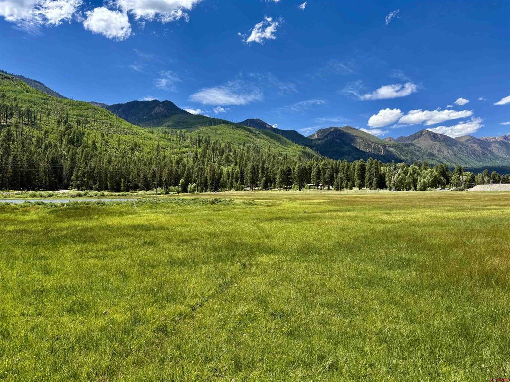 156 Golden Forest Road Vallecito Lake/bayfield CO 81122