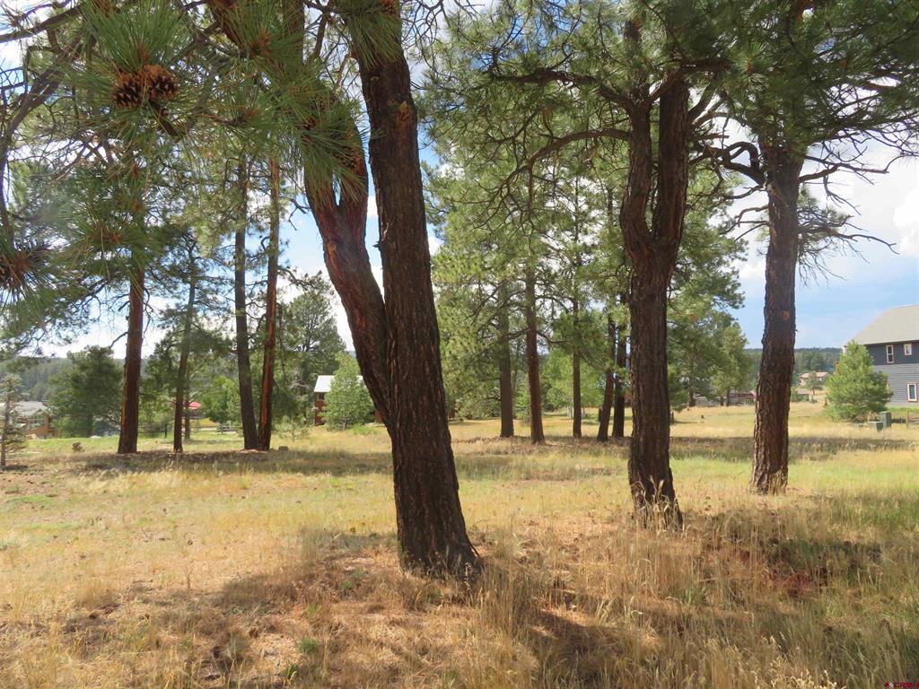 142 Hatcher Circle Pagosa Springs CO 81147