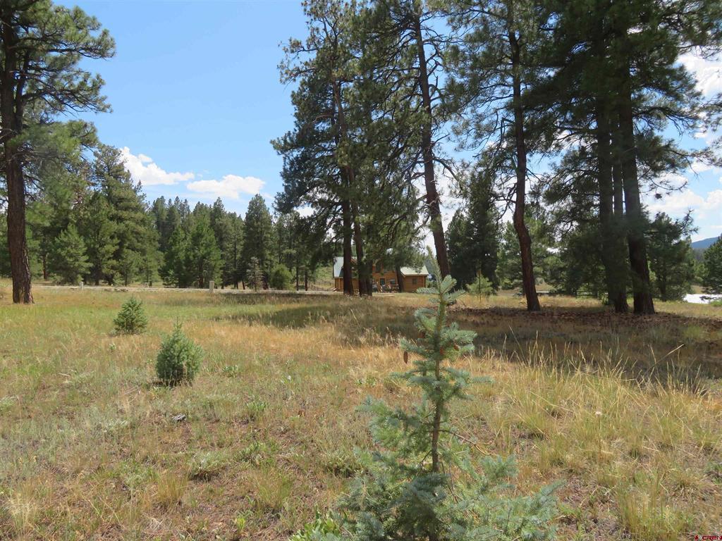 142 Hatcher Circle Pagosa Springs CO 81147