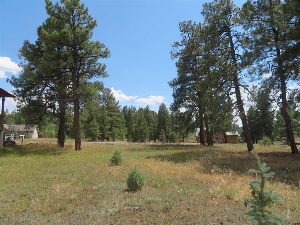 142 Hatcher Circle Pagosa Springs CO 81147