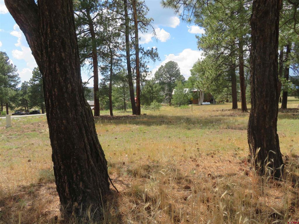 142 Hatcher Circle Pagosa Springs CO 81147