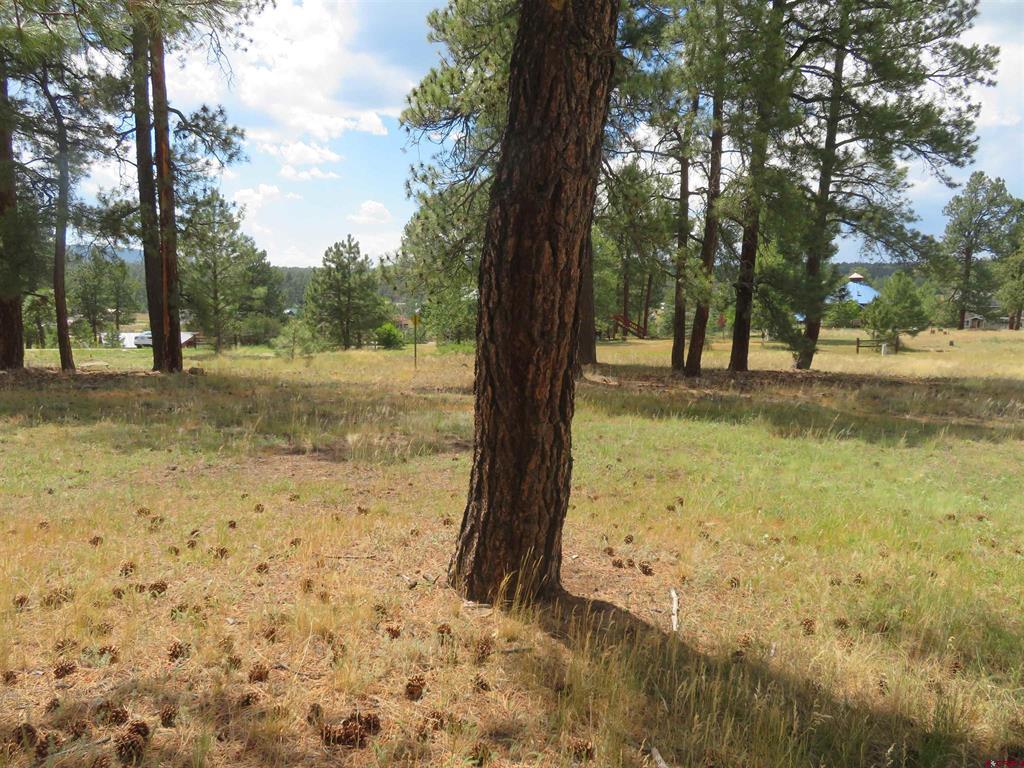 142 Hatcher Circle Pagosa Springs CO 81147