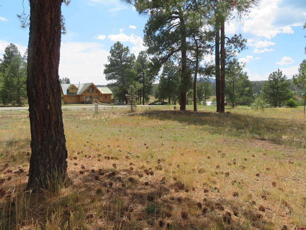 142 Hatcher Circle Pagosa Springs CO 81147