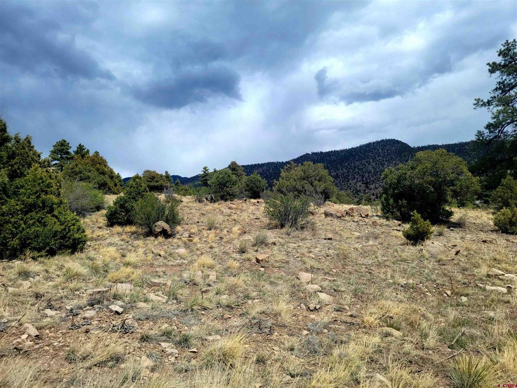 530 Blanca Vista Drive Lot 8 South Fork CO 81154